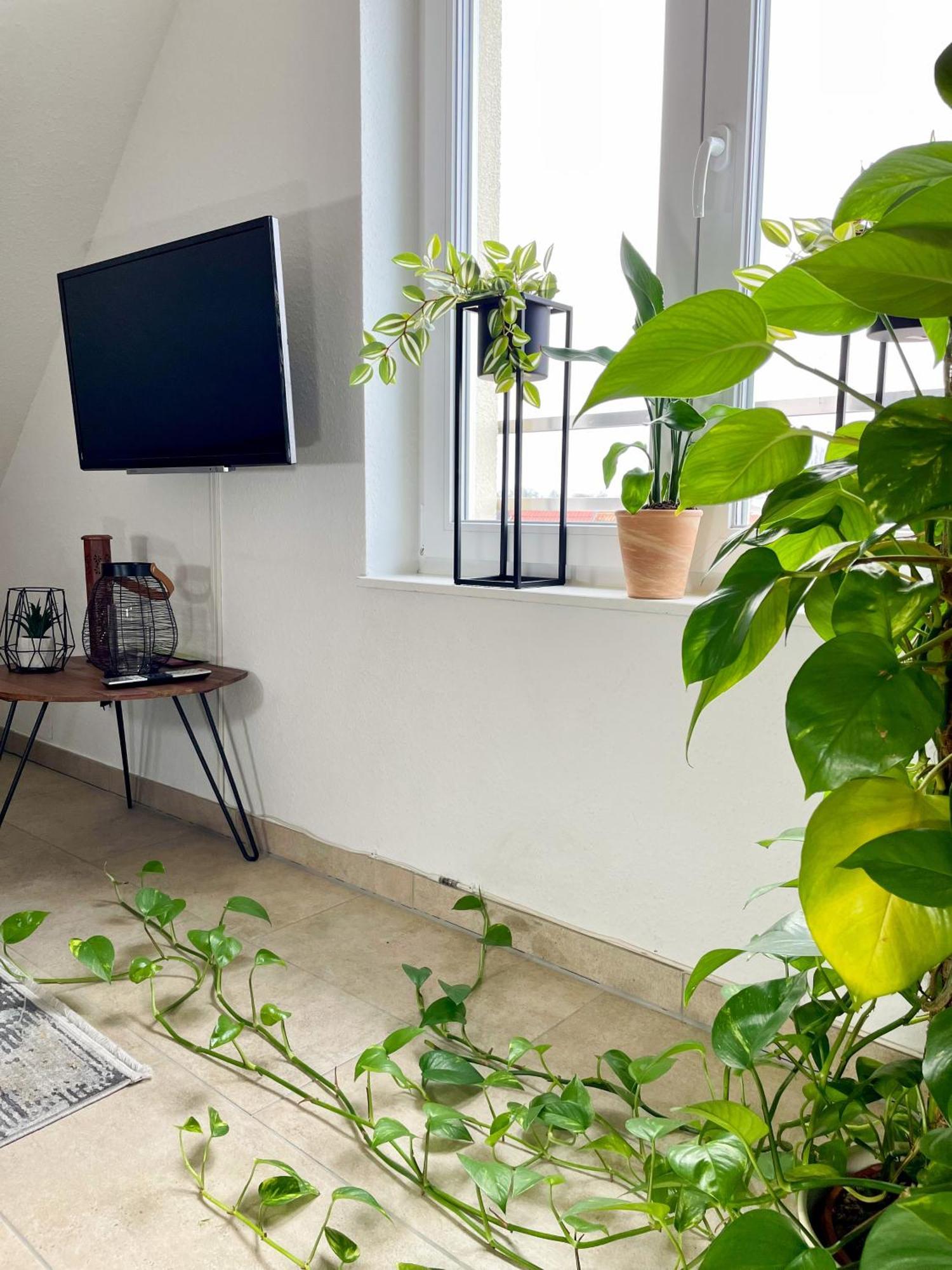 Ahaus: Stadtoase Mit Terrasse & Privater Garage Εξωτερικό φωτογραφία